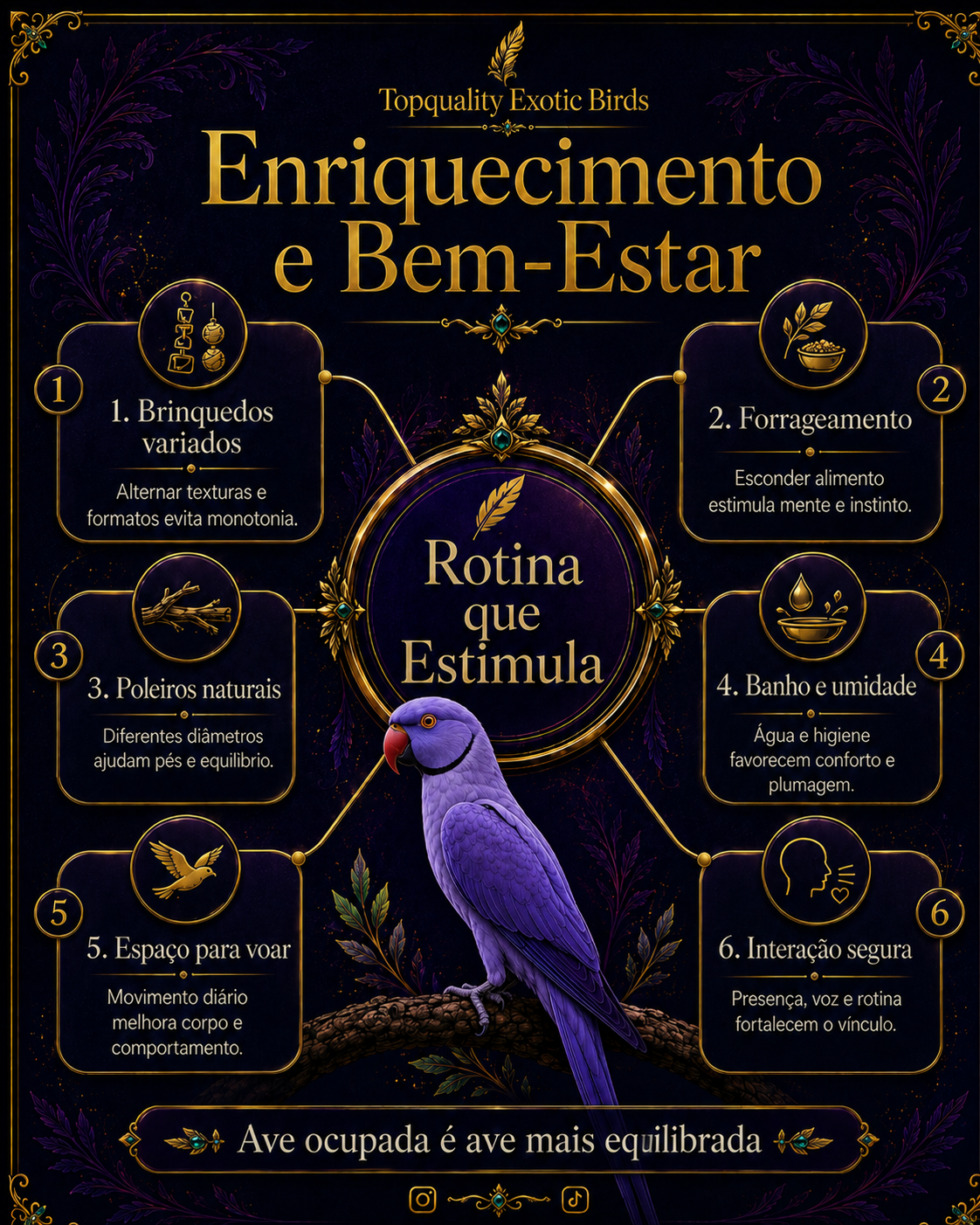 Alimentação
