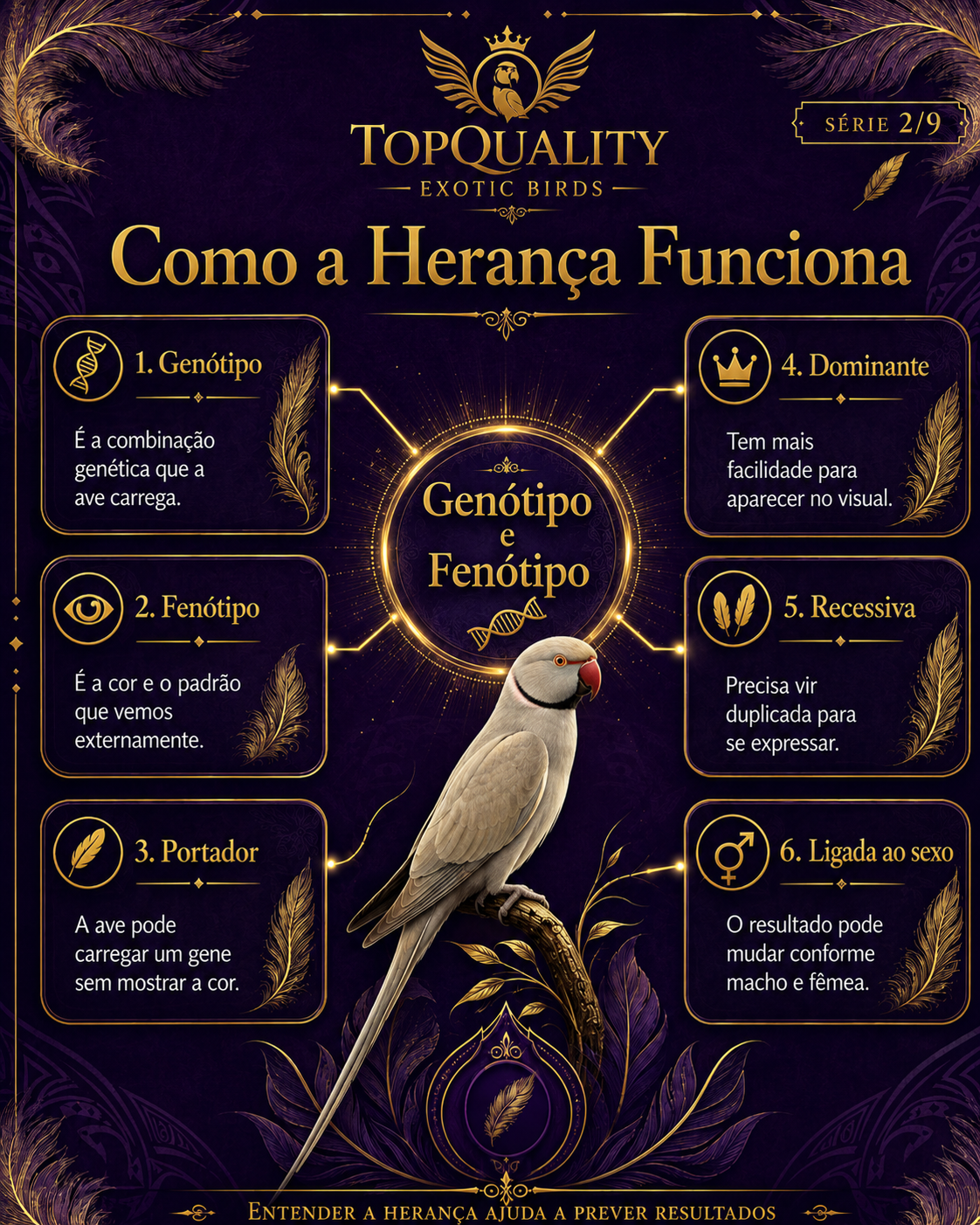 Genética