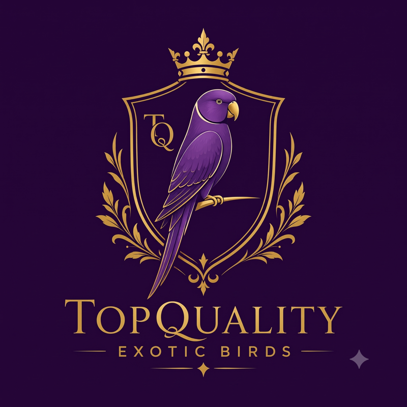 Topquality Exotic Birds